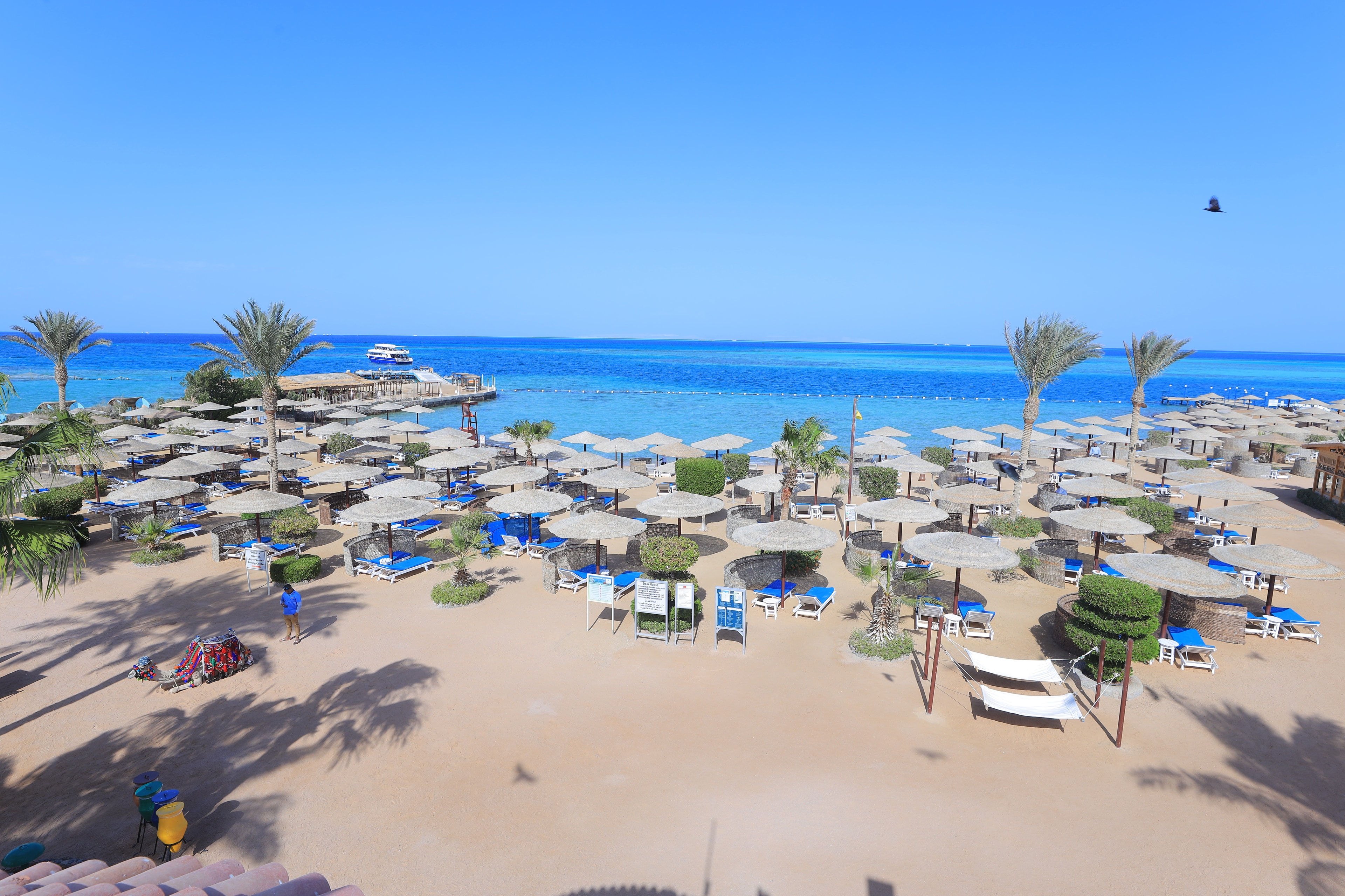 Snorkelling in the Red Sea coral reef
