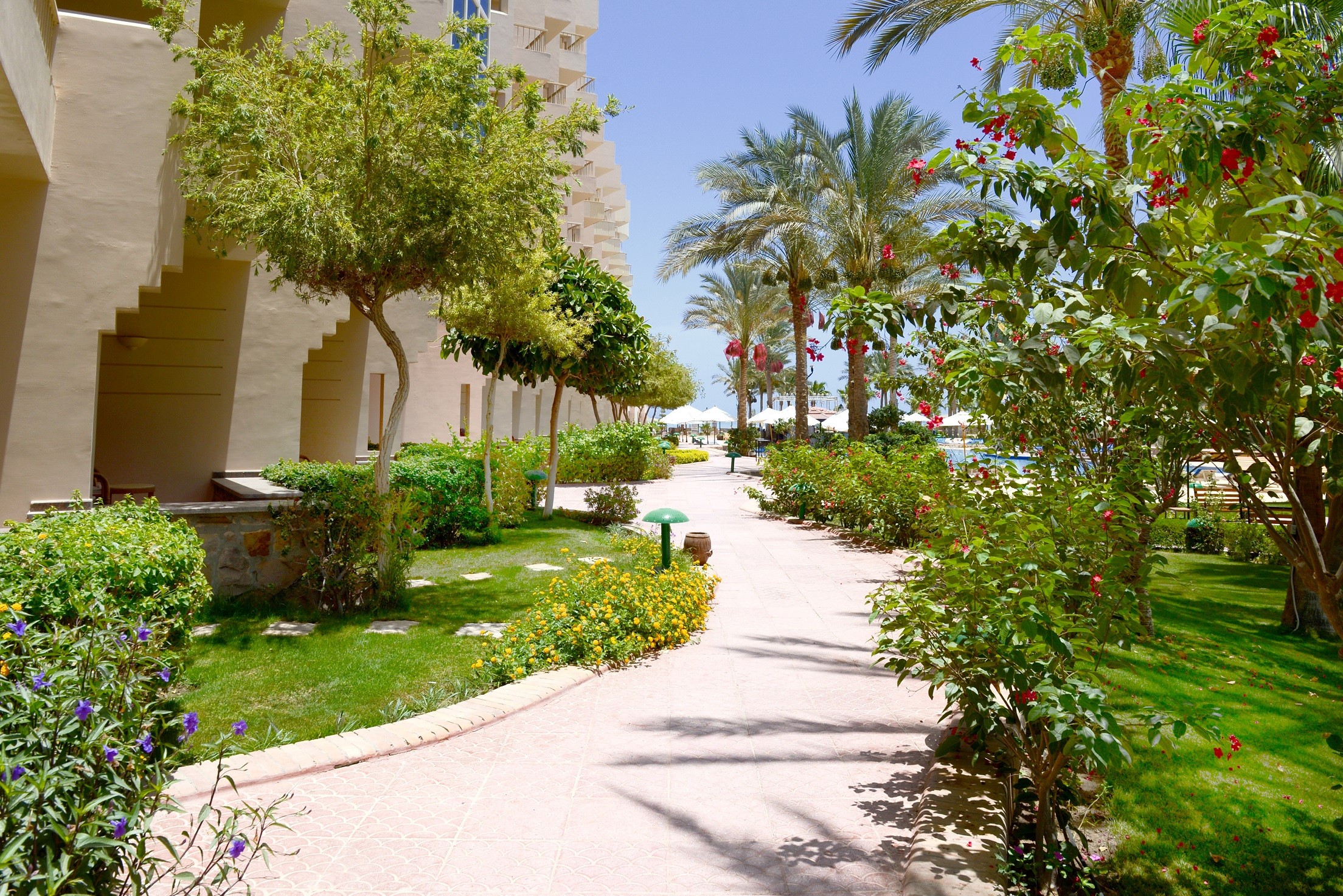 Sea Star Beau Rivage Hotel-Hurghada- Landscap
